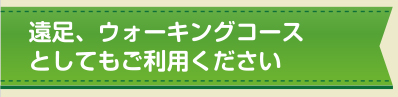 遠足、ウォーキングコースとしてもご利用ください